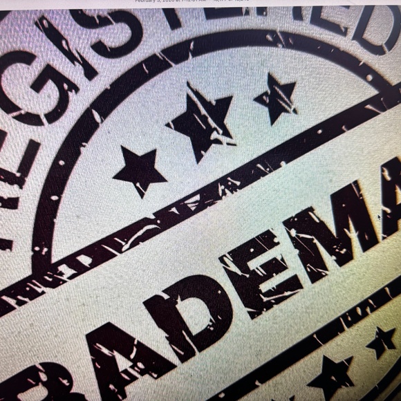 ANUSCHKA CALCUTTA INDIA-NWT $158.00 MASTERPIECE PAINTING TOOK 6 WEEKS - Picture 14 of 16